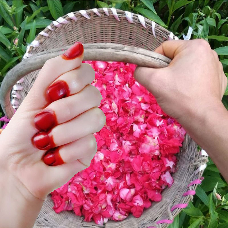 Poudre de teinture pour ongles - Nail Art Natural avis et prix